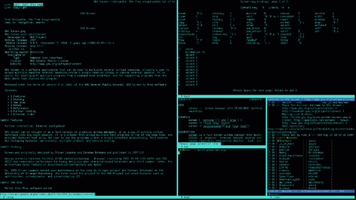 GNU Screen split terminal example